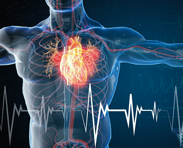 heart health