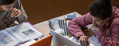 Students studying