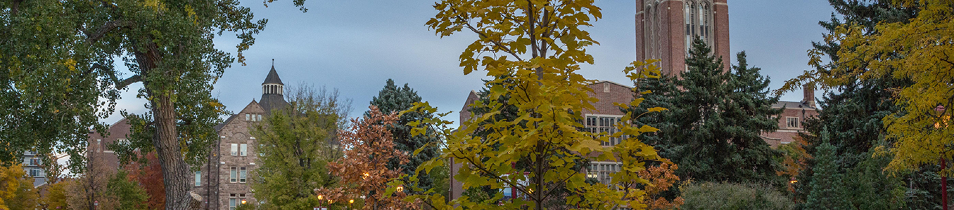campus
