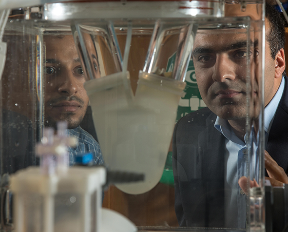 Ali Azadani and fellow researcher viewing a biomedical device in Azadani's lab